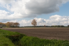 DSC_3867