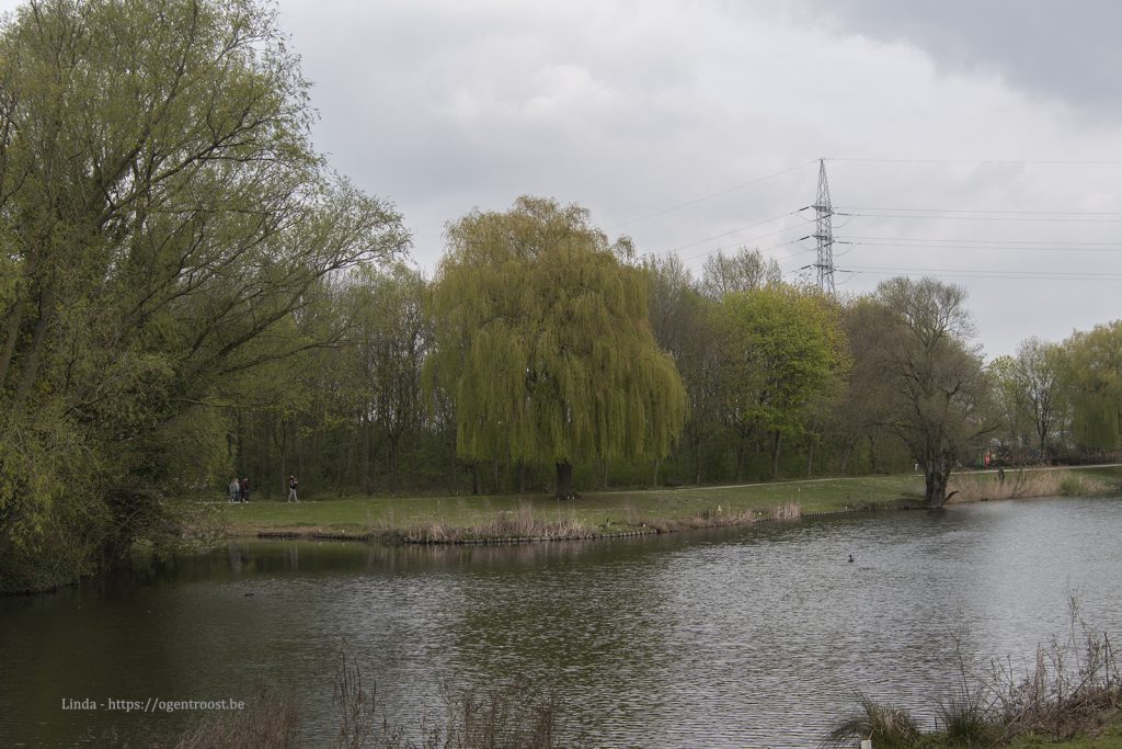 Liedermeerspark