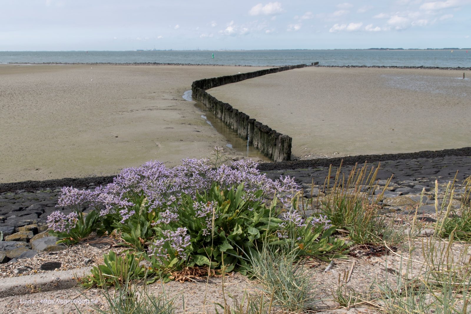 Terneuzen