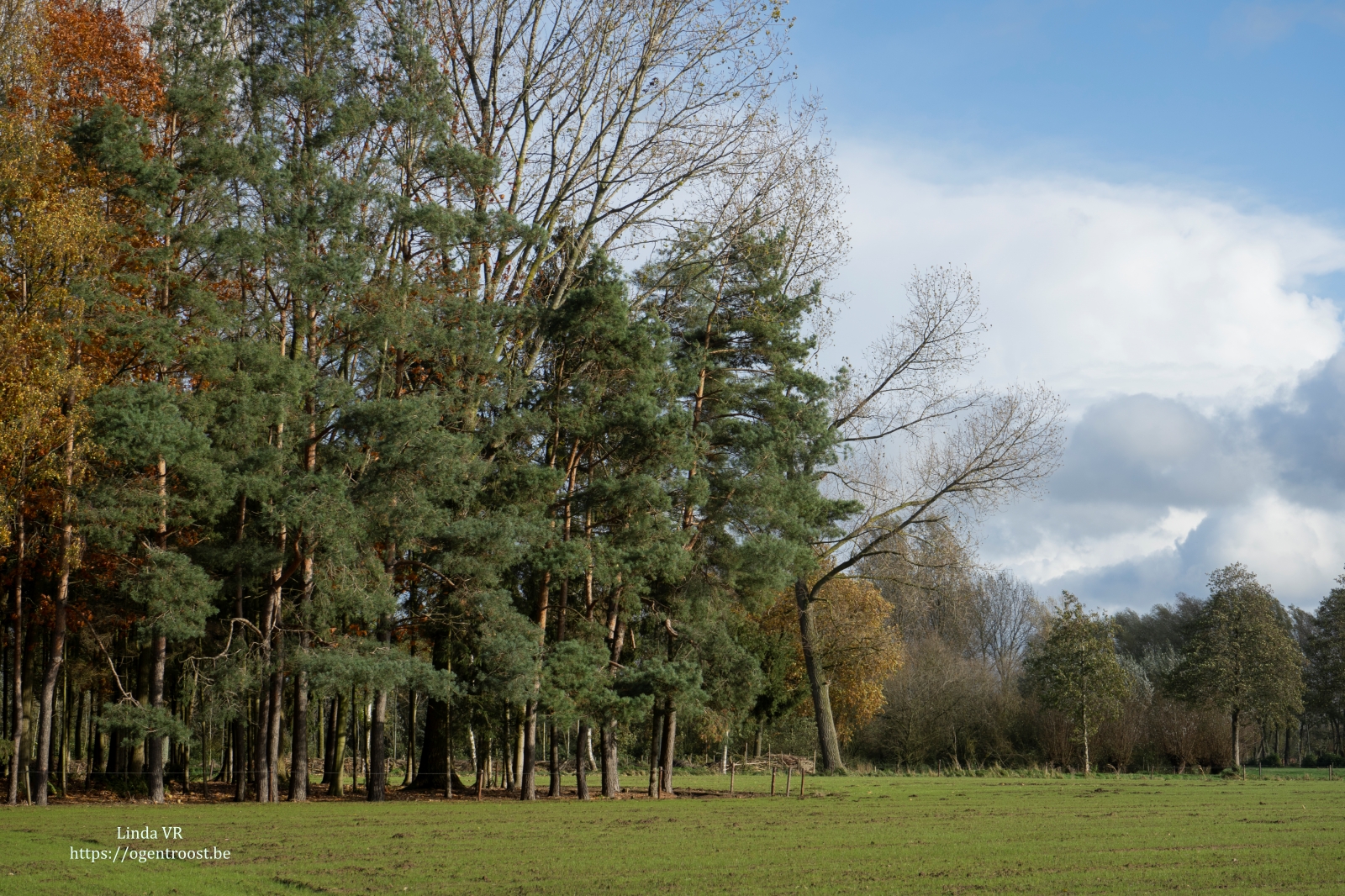 Liniewegelwandeling Eksaarde