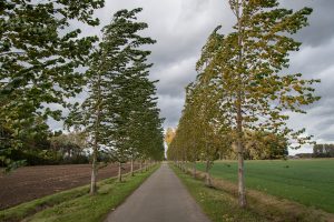 Herfstwind
