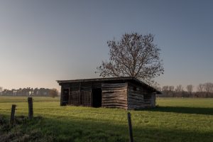 Berlare