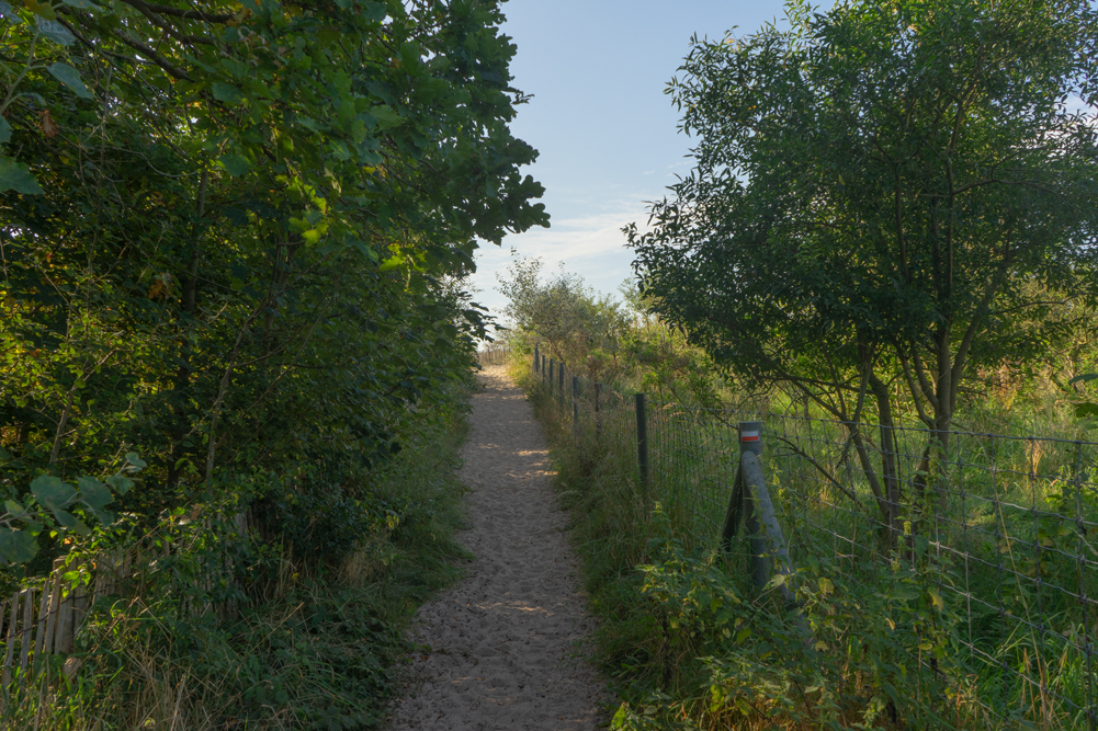 Krakeelduinen, De Panne